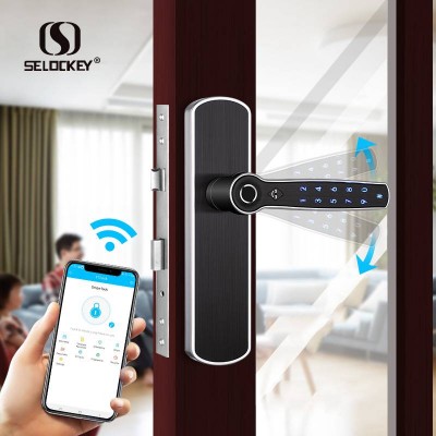 S2300 Selockey Double-sided Key & Fingerprint & Passcode & Ttlock App & Wifi Metal Gate Door Lock