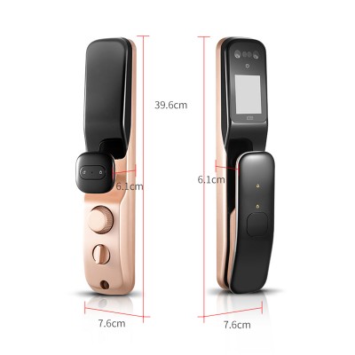 New design smart wifi bluetooth face recognition door lock Warranty 18 months aluminum alloy face gate lock