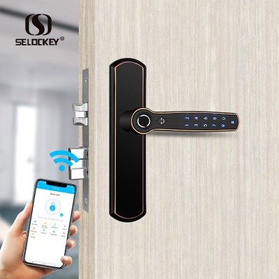 Simple convenient hotel house smart digital metal gate lock fingerprint card portable door lock